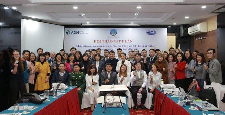 Hình ảnh minh họa bài viết: BẢO TỒN CÁ MẬP, BẢO VỆ SỨC KHỎE CHO ĐẠI DƯƠNG