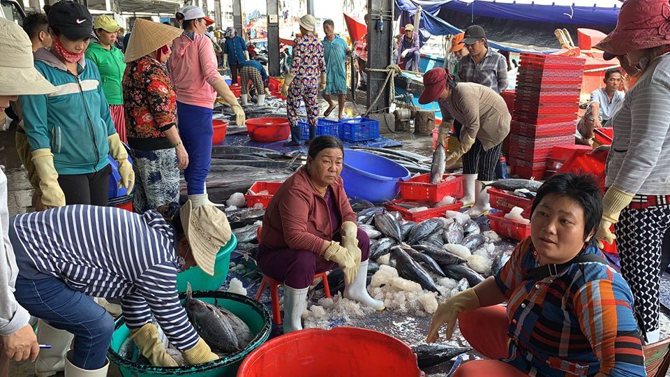 Hình ảnh minh họa bài viết: GIÁ CÁ NGỪ VẰN THẾ GIỚI VÀ TRONG NƯỚC TĂNG VÀO THÁNG 3/2020