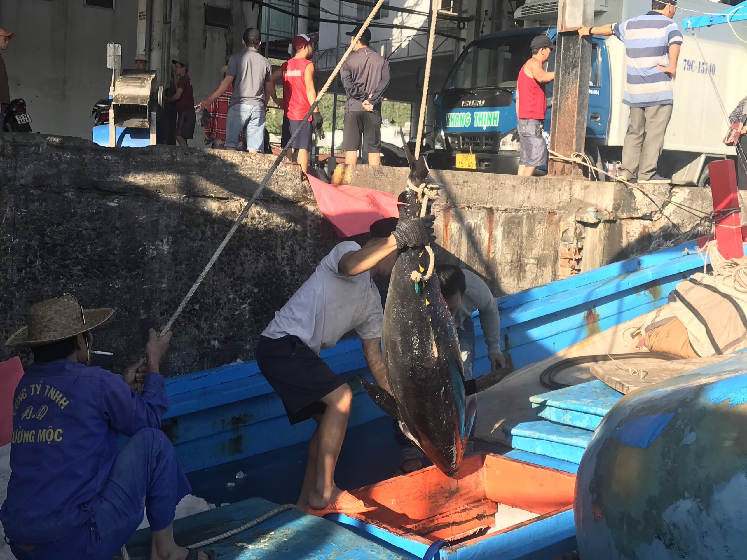 Hình ảnh minh họa bài viết: CẦU MONG MỘT NĂM THUẬN LỢI CHO BÀ CON ĐÁNH BẮT CÁ NGỪ VIỆT NAM