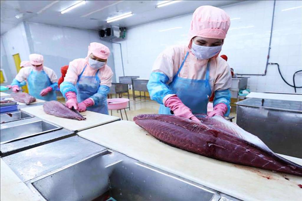 Hình ảnh minh họa bài viết: Thị trường nhập khẩu cá ngừ năm 2014