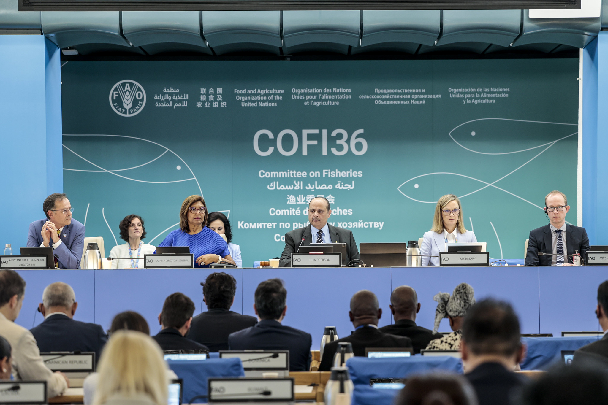 Hình ảnh minh họa bài viết: Cuộc họp toàn cầu tập trung vào vai trò quan trọng của nghề cá và nuôi trồng thủy sản trong việc giải quyết tình trạng mất an ninh lương thực, suy dinh dưỡng và nghèo đói