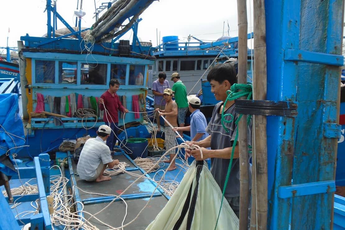 Image to illustrate the article: Vietnam Yellowfin Tuna