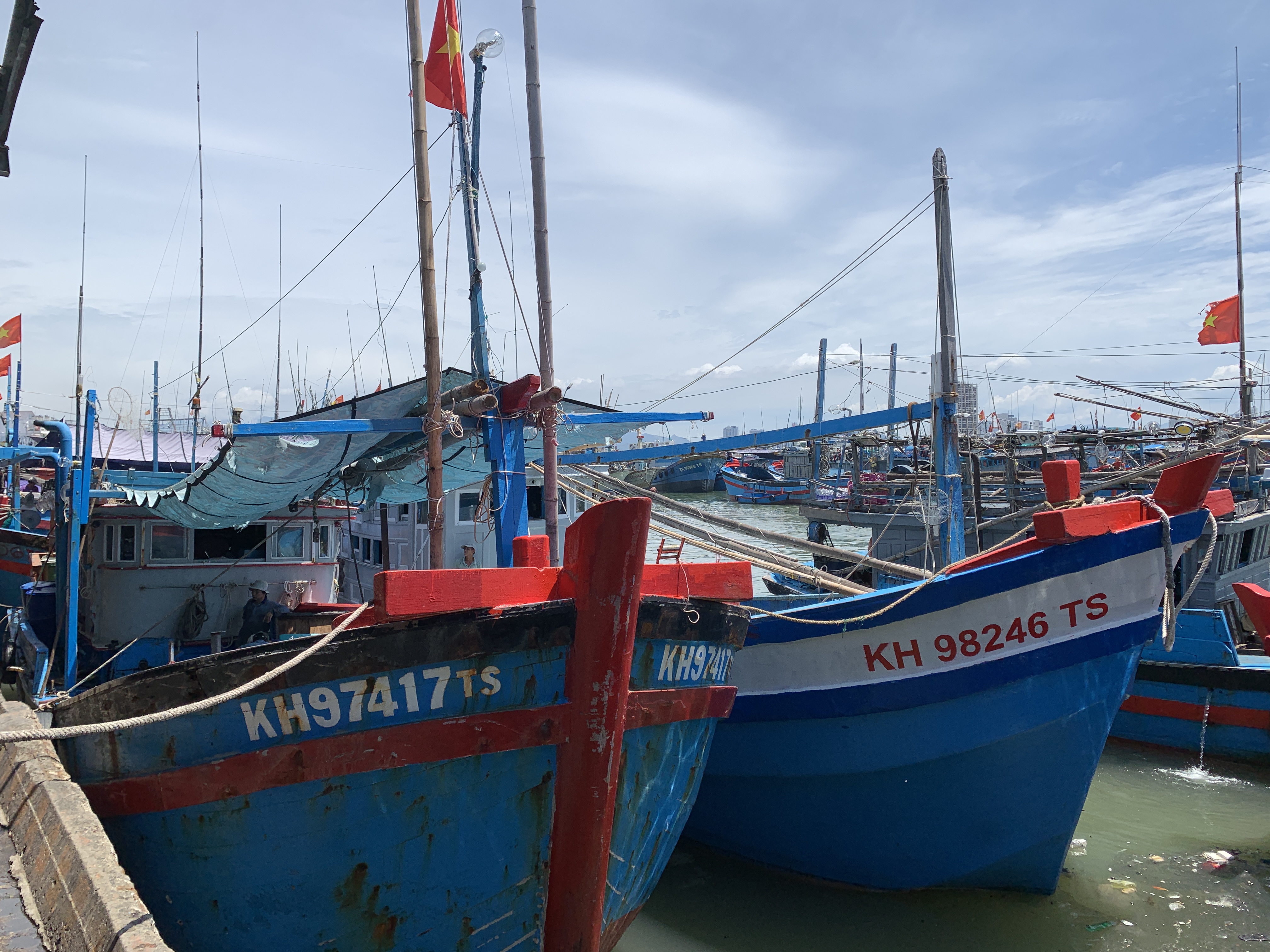 Hình ảnh minh họa bài viết: Thực hiện Chương trình giám sát trên tàu khai thác cá ngừ năm 2024 - Dự án Quản lý nghề cá ngừ trong vùng biển Tây Thái Bình Dương và Đông Á (WPEA).