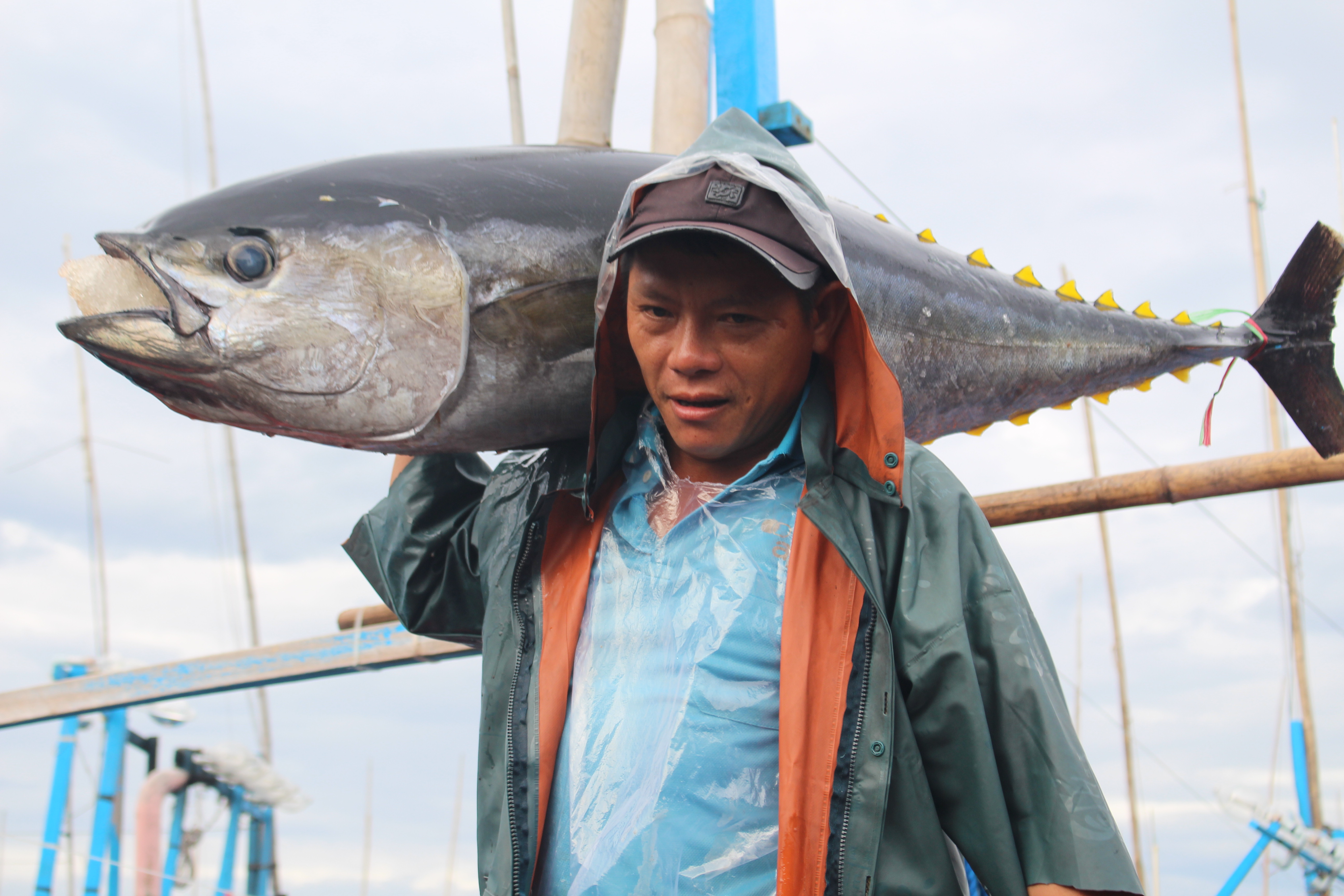 Image to illustrate the article: BỘ QUY TẮC ỨNG XỬ TỰ NGUYỆN/  VOLUNTARY CODE OF CONDUCT