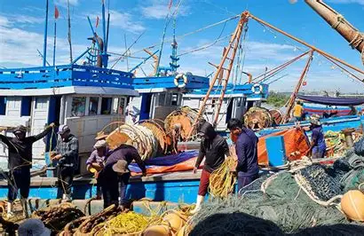 Hình ảnh minh họa bài viết: Hải sản cạn kiệt, Việt Nam dân tính đến khả năng "Cấm biển"